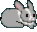 O[Q